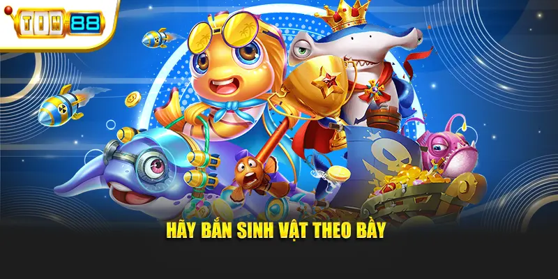 săn tiên cá 3